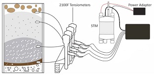 STM